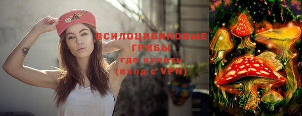 индика Абдулино