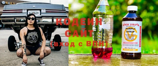 ГАЛЛЮЦИНОГЕННЫЕ ГРИБЫ Касимов